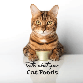 Shocking Truths about Cat Foods