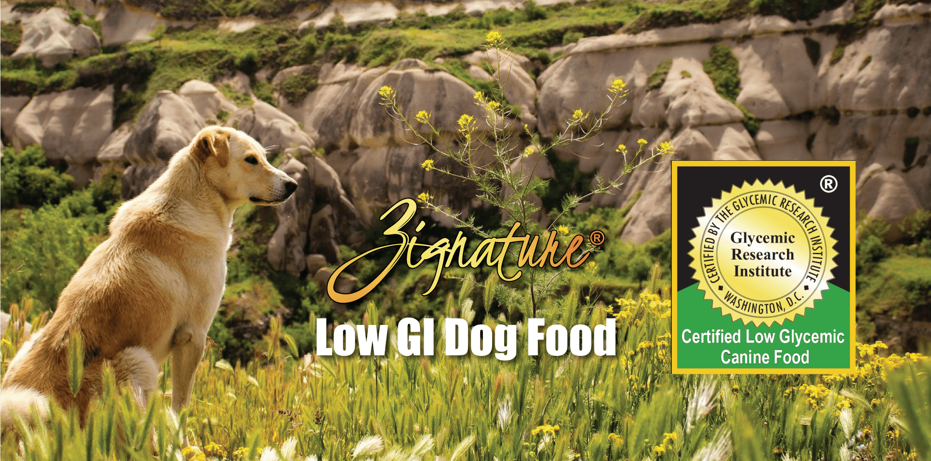 Zignature - Low GI Dog Food