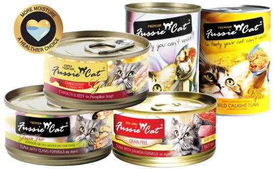 Fussie Cat