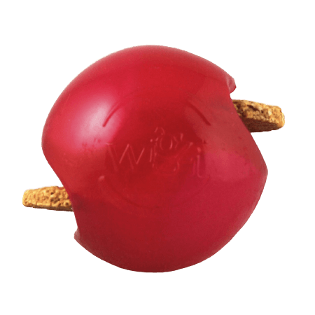 L Size