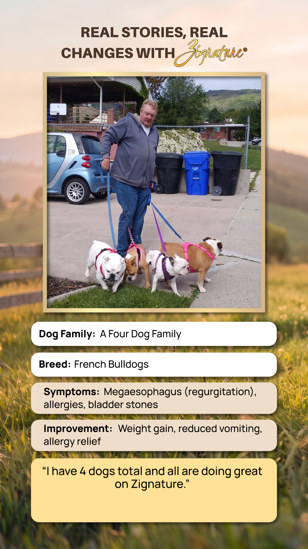 dog food for allergies