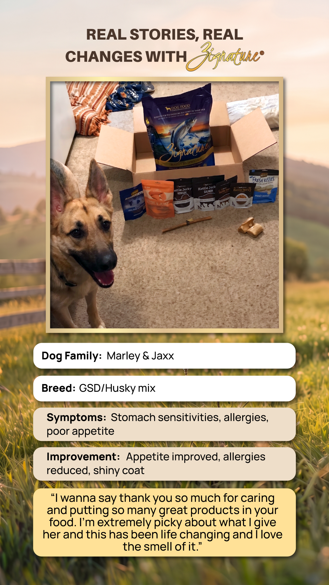 hypoallergenic dog food